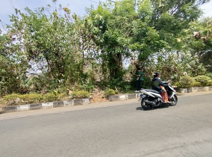 Lelang Tanah luas 28 are di Pangkungparuk, Seririt, Beleleng — foto 5
