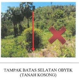 Lelang Tanah luas 9,6 are di Seraya Timur, Karangasem, Karangasem — foto 5