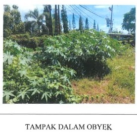 Lelang Tanah luas 3,7 are di Tumbu, Karangasem, Karangasem — foto 5