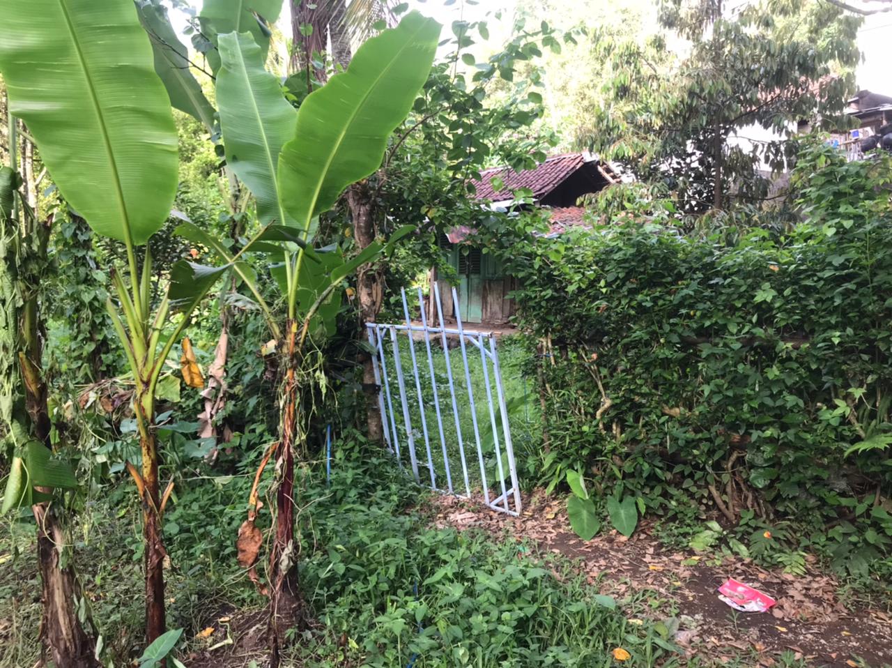 Lelang Tanah luas 22,5 are di Kayu Putih, Banjar, Buleleng — foto 1