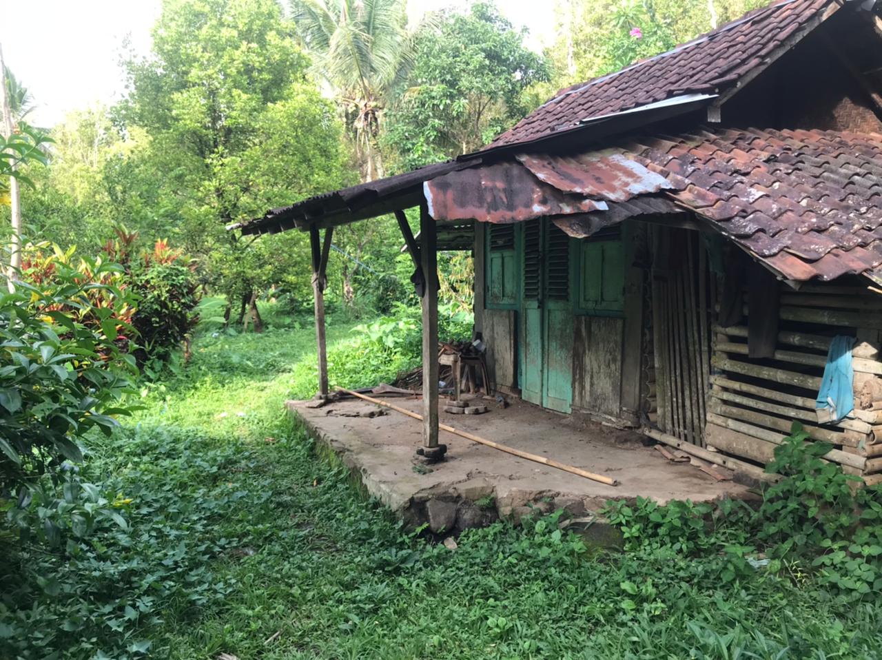 Lelang Tanah luas 22,5 are di Kayu Putih, Banjar, Buleleng — foto 3