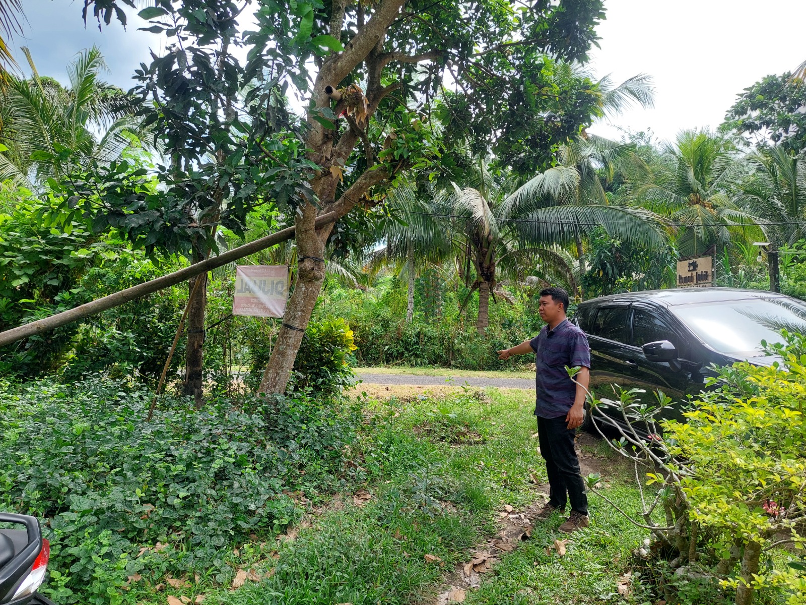 Lelang Tanah luas 9,3 are di Melaya, Melaya, Jembrana — foto 4