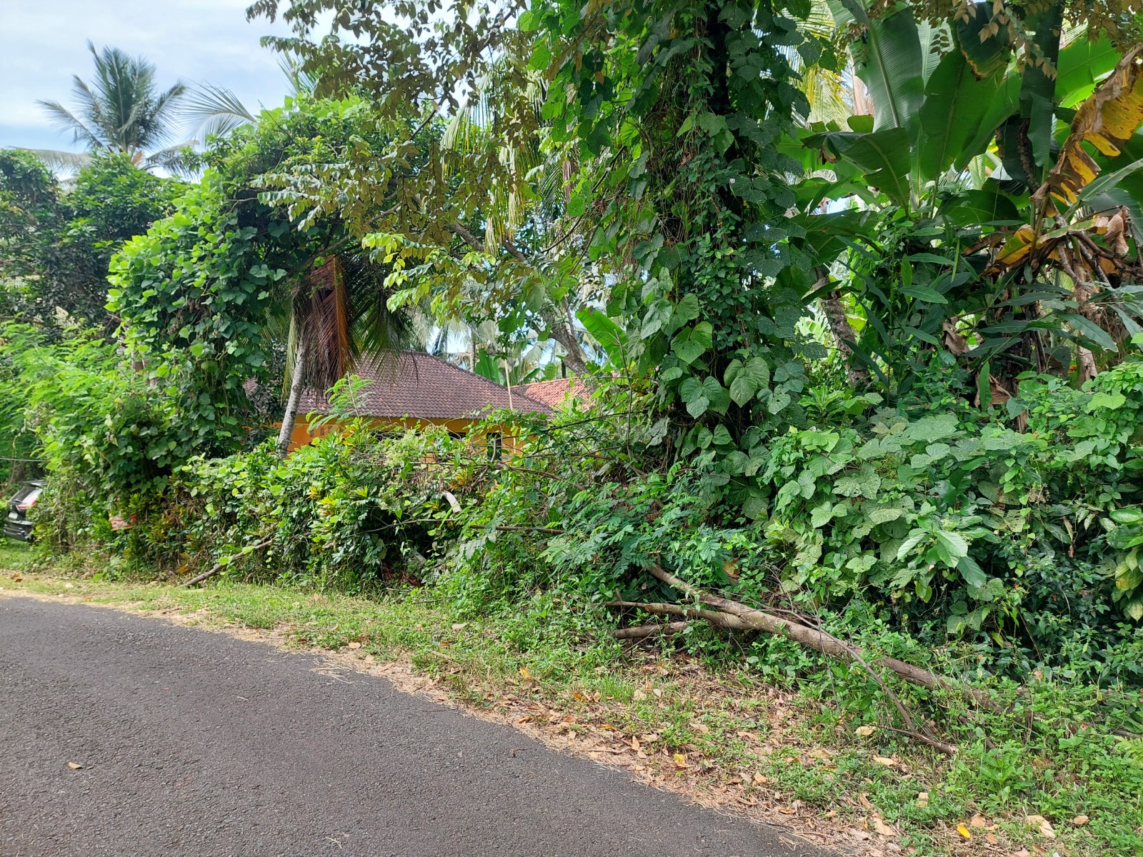 Lelang Tanah luas 17,3 are di Melaya, Melaya, Jembrana — foto 4