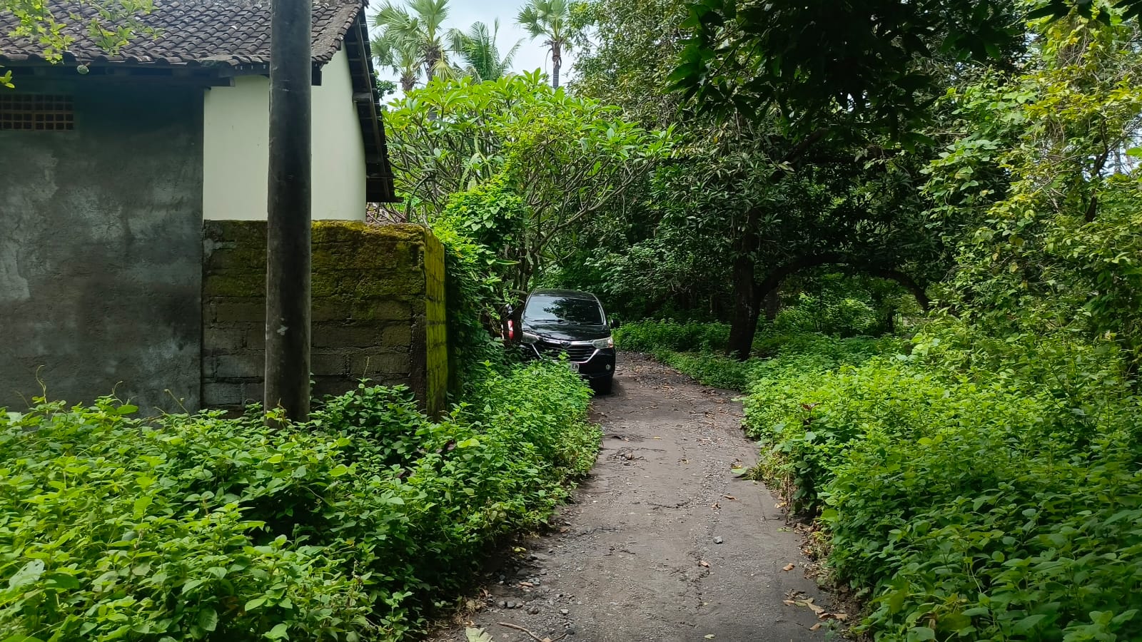 Lelang Rumah luas 41 are di Sukadana, Kubu, Karangasem — foto 6