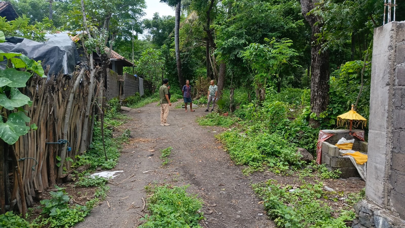 Lelang Rumah luas 41 are di Sukadana, Kubu, Karangasem — foto 8