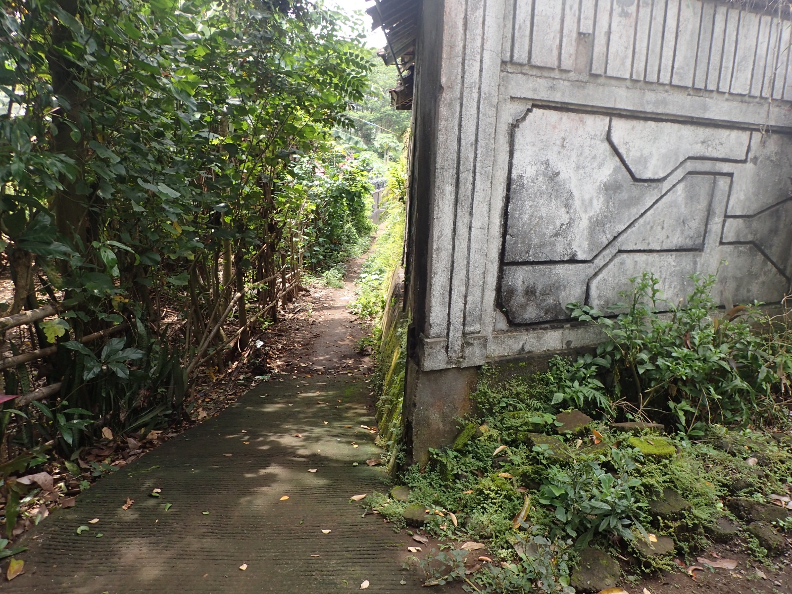 Lelang Rumah luas 4 are di Tegalcangkring, Mendoyo, Jembrana — foto 4