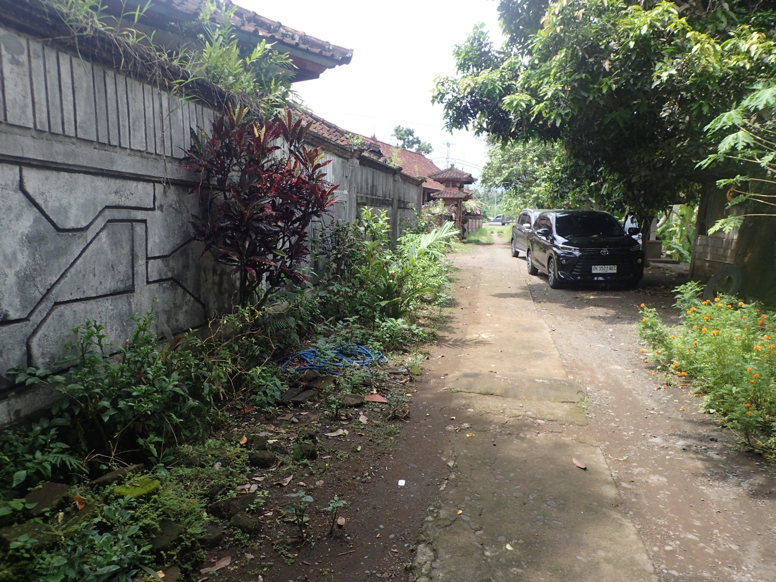 Lelang Rumah luas 4 are di Tegalcangkring, Mendoyo, Jembrana — foto 6