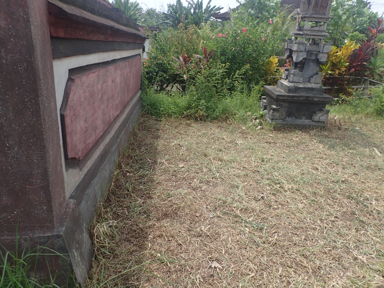 Lelang Rumah luas 4 are di Tegalcangkring, Mendoyo, Jembrana — foto 3
