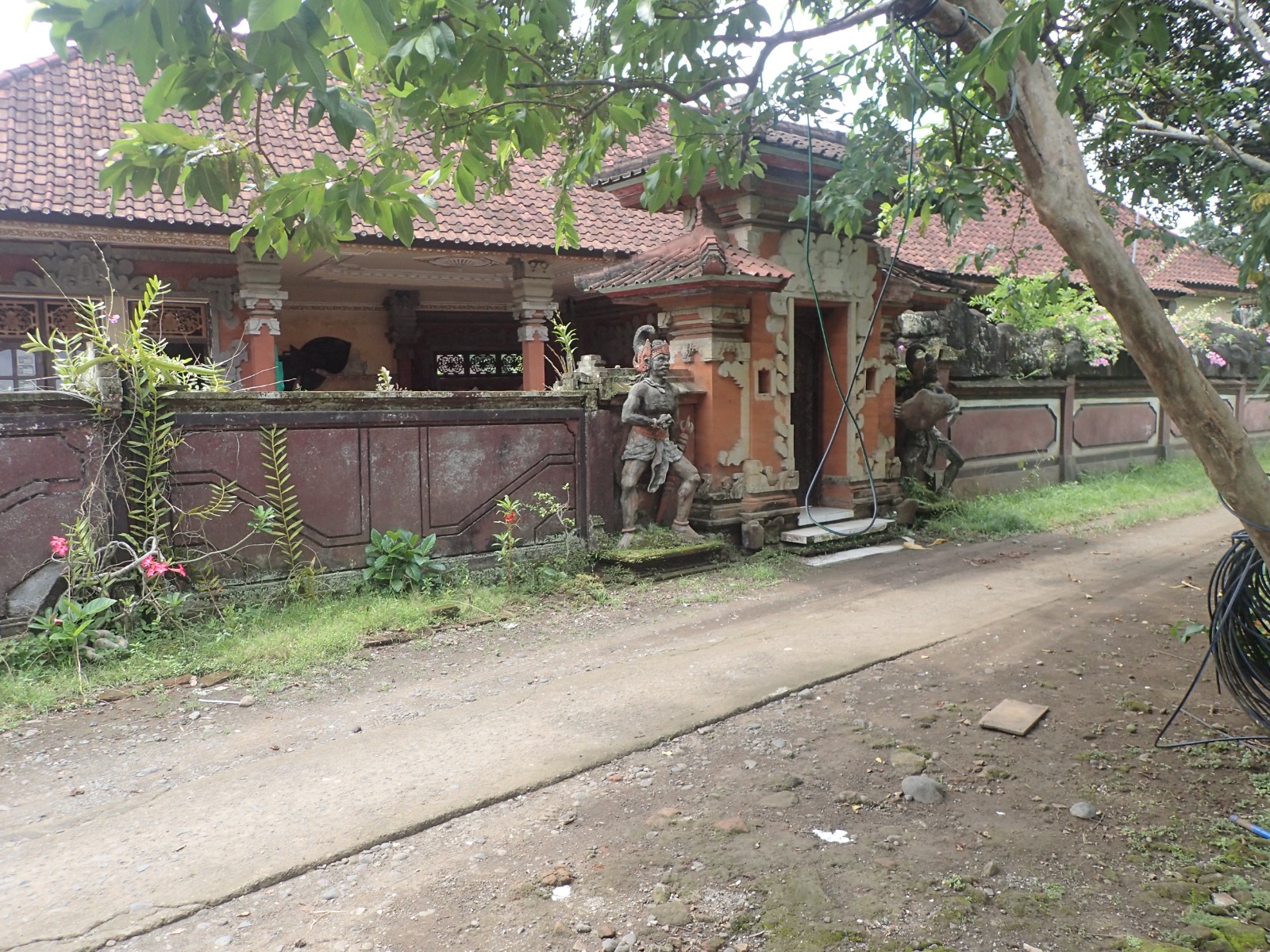 Lelang Rumah luas 4 are di Tegalcangkring, Mendoyo, Jembrana — foto 1