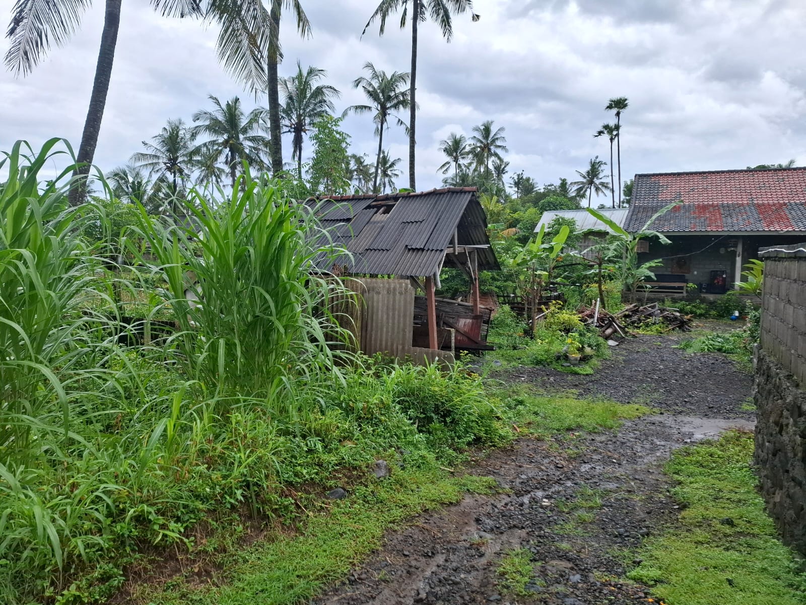 Lelang Rumah luas 20,8 are di Purwakerthi, Karangasem — foto 2