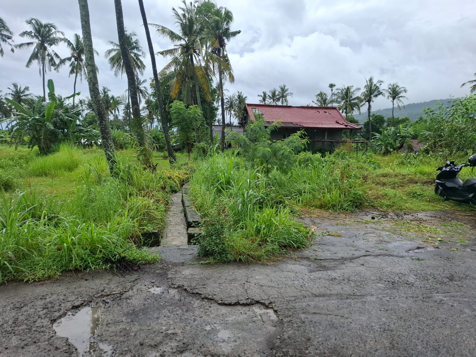 Lelang Rumah luas 20,8 are di Purwakerthi, Karangasem — foto 1