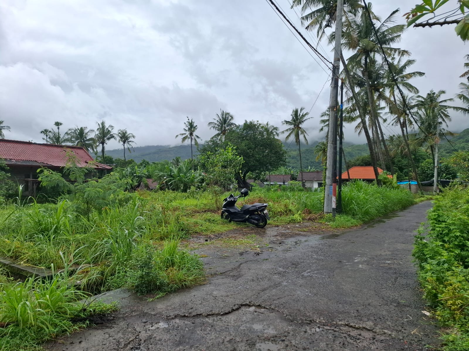 Lelang Rumah luas 20,8 are di Purwakerthi, Karangasem — foto 4