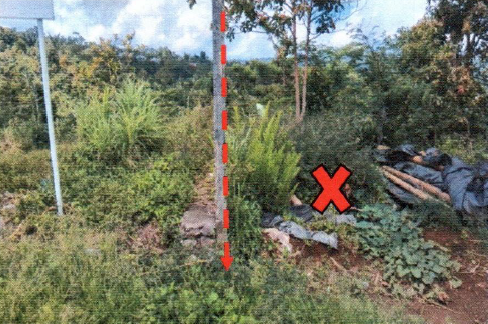 Lelang Tanah luas 15 are di Wanagiri, Sukasada, Buleleng — foto 1