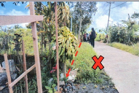 Lelang Tanah luas 15 are di Wanagiri, Sukasada, Buleleng — foto 4
