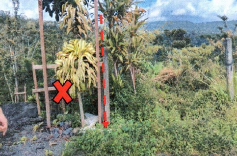 Lelang Tanah luas 15 are di Wanagiri, Sukasada, Buleleng — foto 2