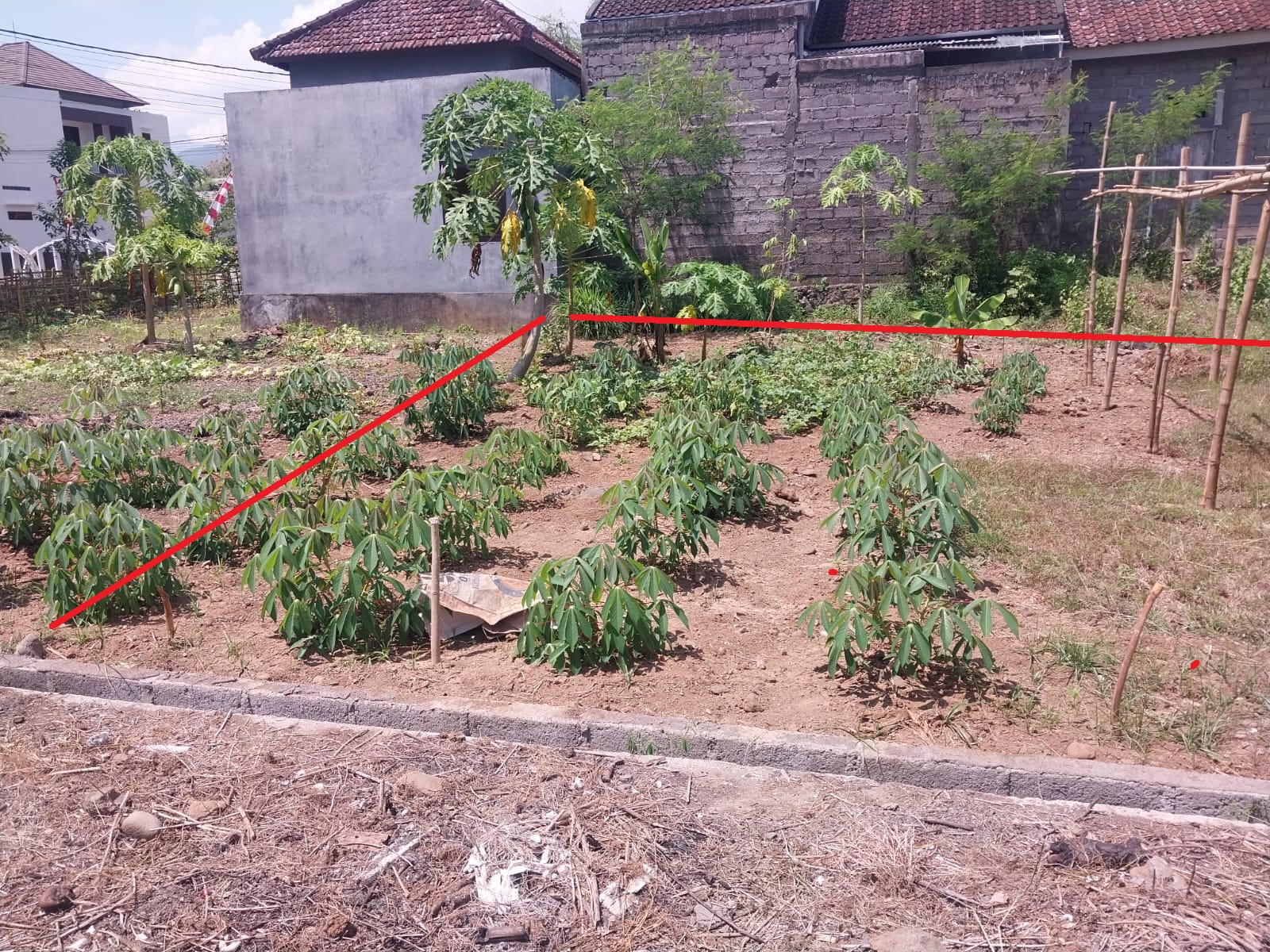 Lelang Tanah luas 2 are di Kalibukbuk, Buleleng, Buleleng — foto 5