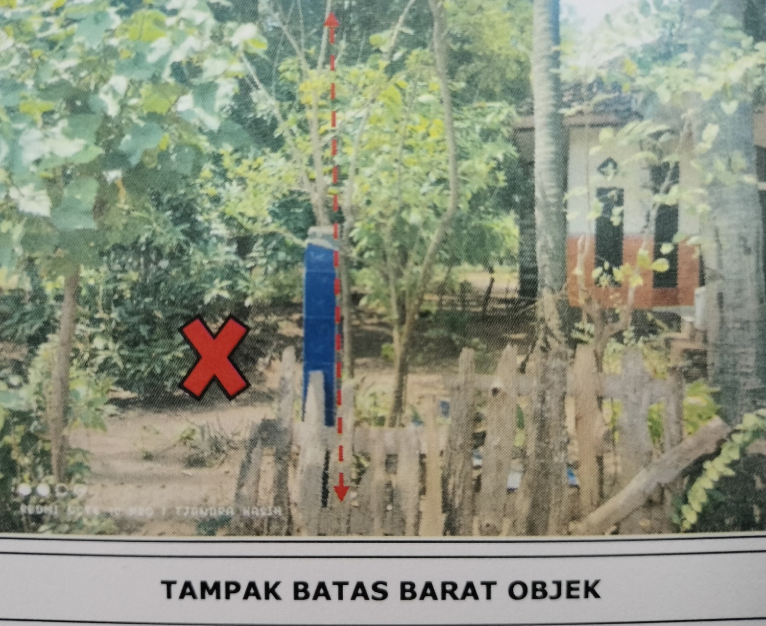 Lelang Rumah luas 10 are di Sumberkima, Gerogak — foto 3