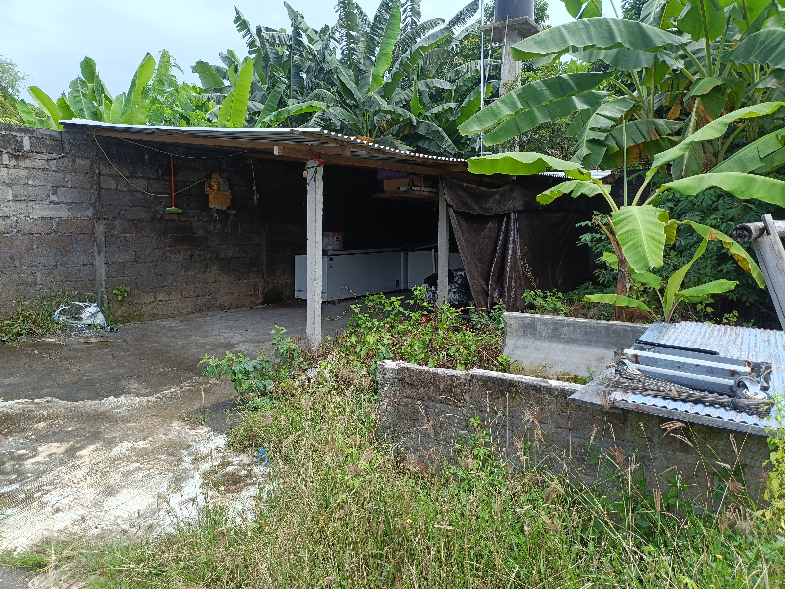 Lelang Rumah luas 4 are di Banjar, Banjar, Buleleng — foto 7