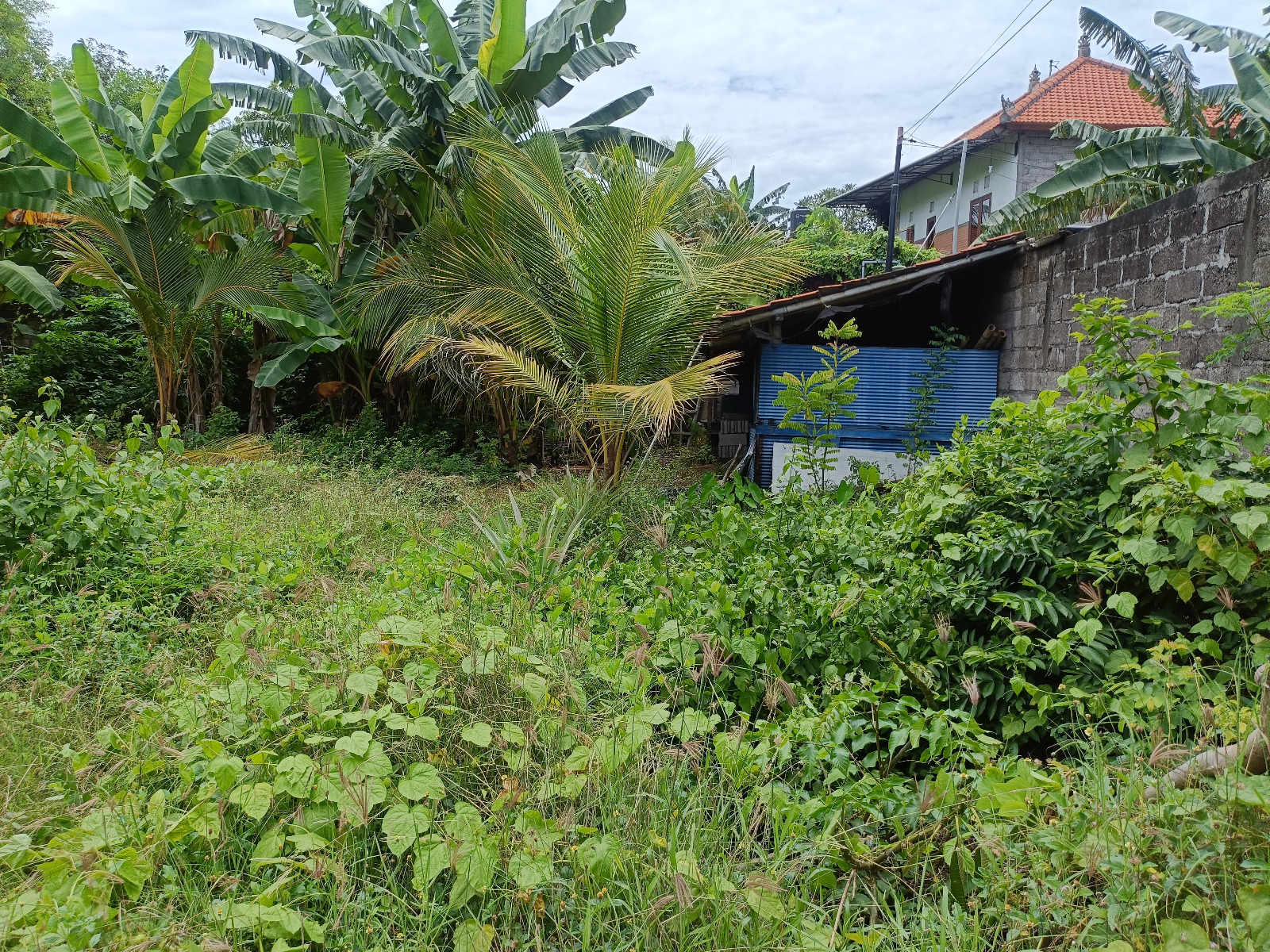 Lelang Rumah luas 4 are di Banjar, Banjar, Buleleng — foto 5