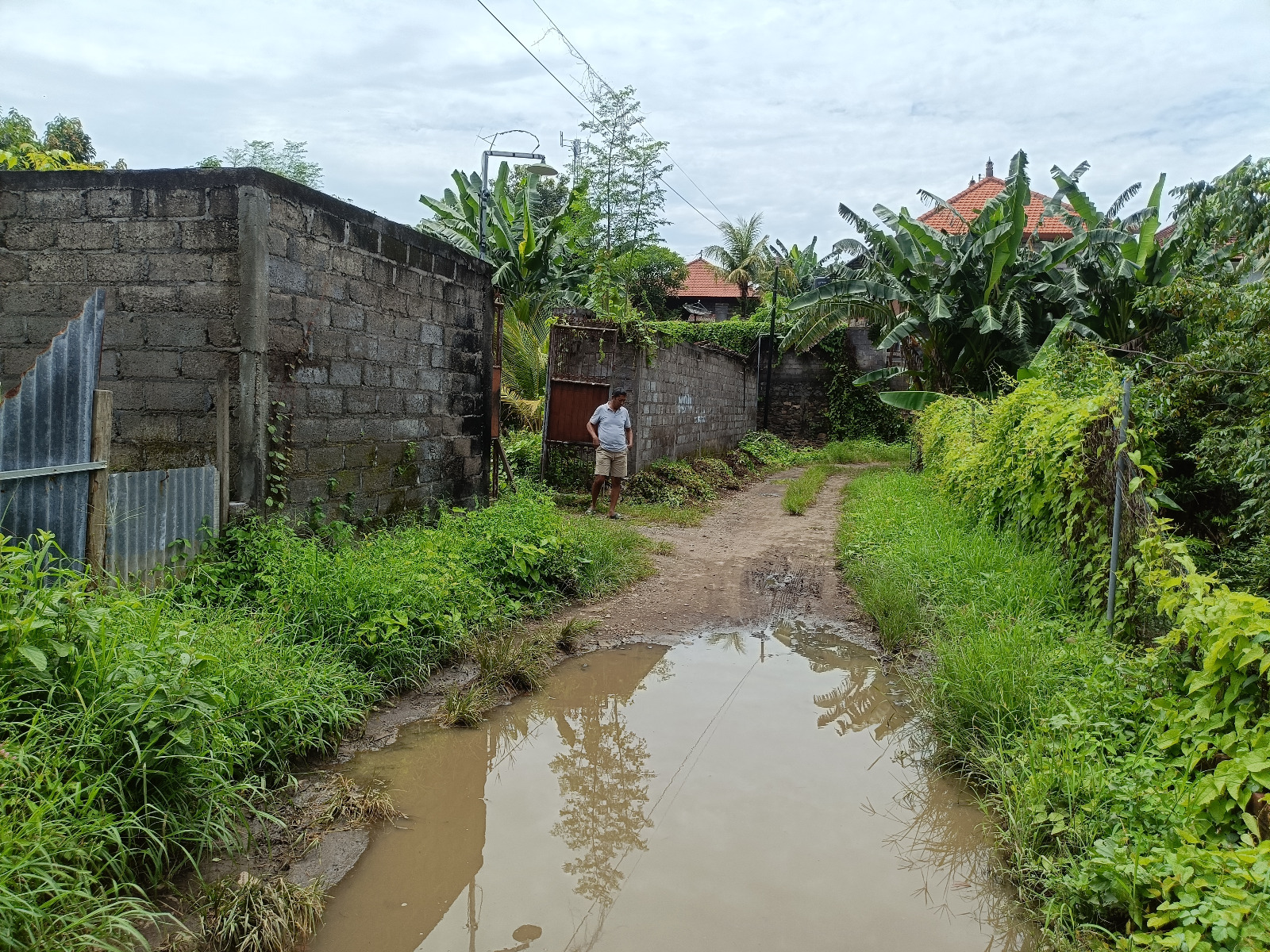 Lelang Rumah luas 4 are di Banjar, Banjar, Buleleng — foto 6