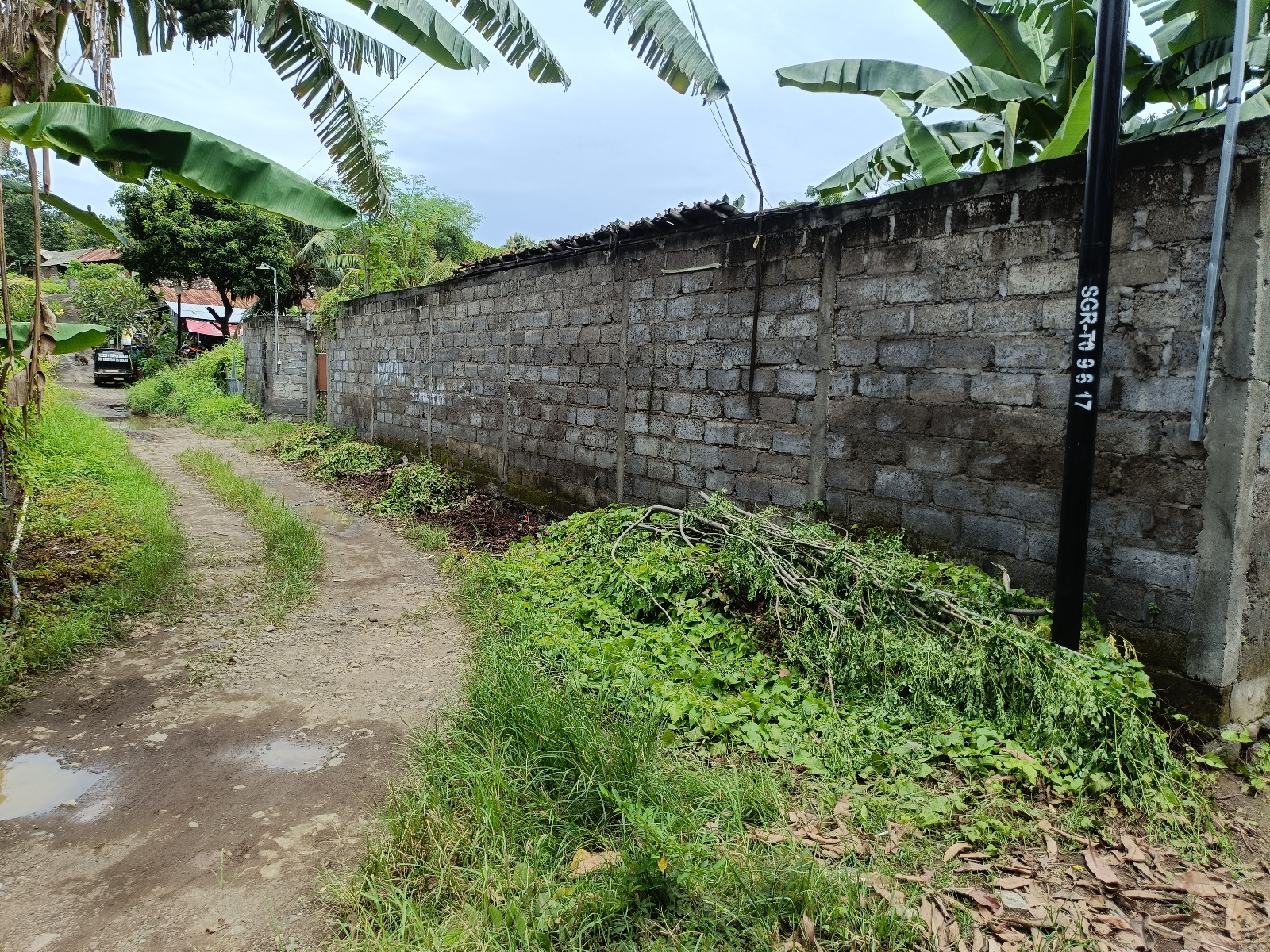 Lelang Rumah luas 4 are di Banjar, Banjar, Buleleng — foto 2