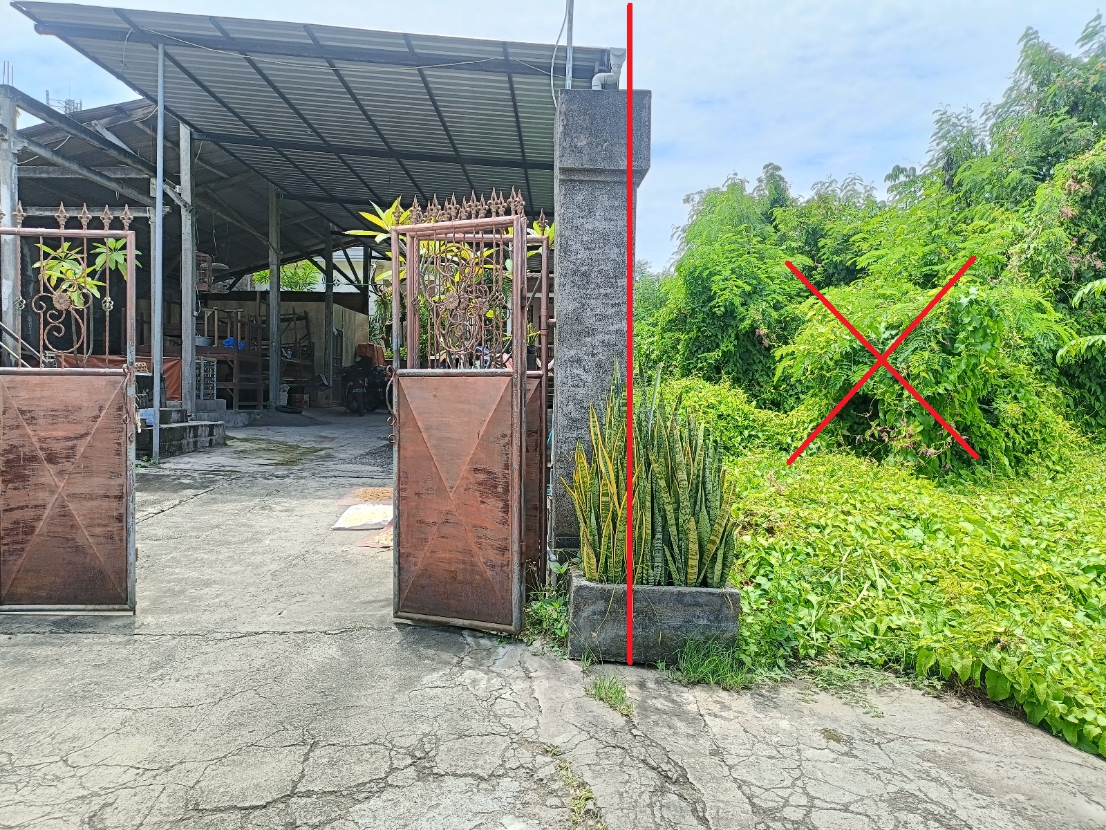 Lelang Rumah luas 4,3 are di Banjar, Banjar, Buleleng — foto 6