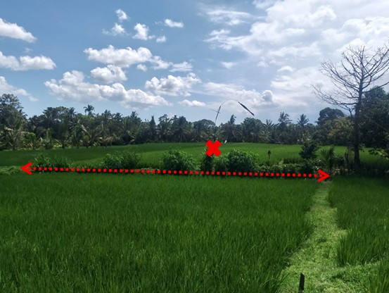 Lelang Tanah luas 14 are di Riang Gede, Penebel, Tabanan — foto 4