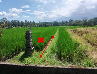 Lelang Tanah luas 14 are di Riang Gede, Penebel, Tabanan — foto 2