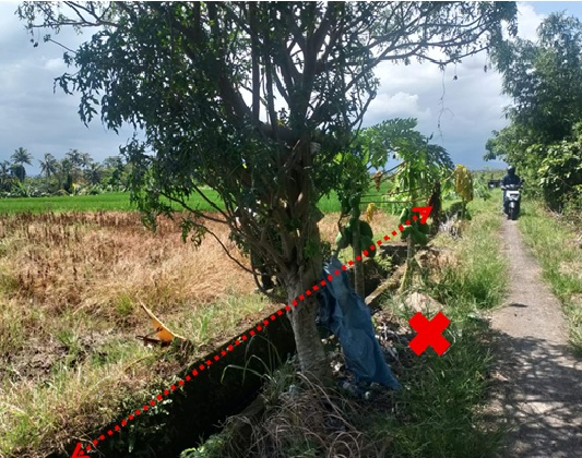 Lelang Tanah luas 14 are di Riang Gede, Penebel, Tabanan — foto 5
