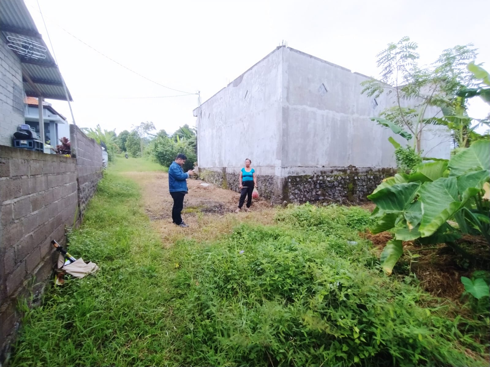 Lelang Tanah luas 1 are di Ambengan, Sukasada, Buleleng — foto 3