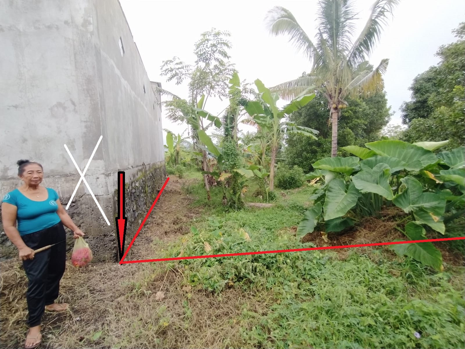 Lelang Tanah luas 1 are di Ambengan, Sukasada, Buleleng — foto 4