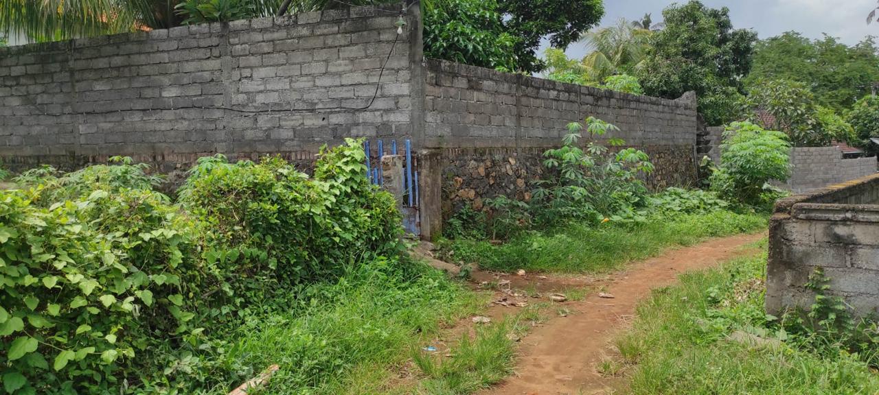 Lelang Rumah luas 18,35 are di Ringdikit, Seririt, Buleleng — foto 6