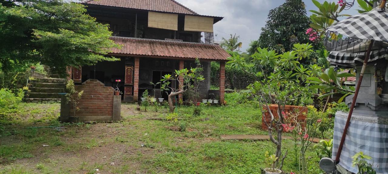 Lelang Rumah luas 18,35 are di Ringdikit, Seririt, Buleleng — foto 1