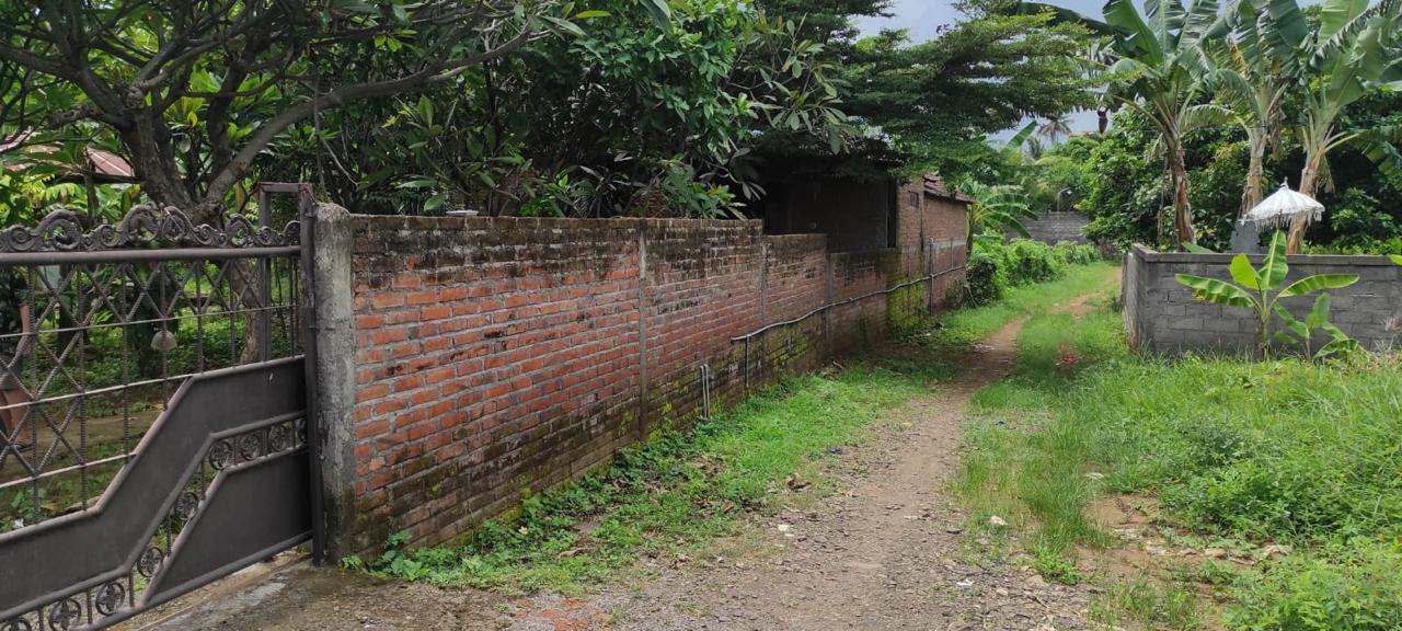 Lelang Rumah luas 18,35 are di Ringdikit, Seririt, Buleleng — foto 2
