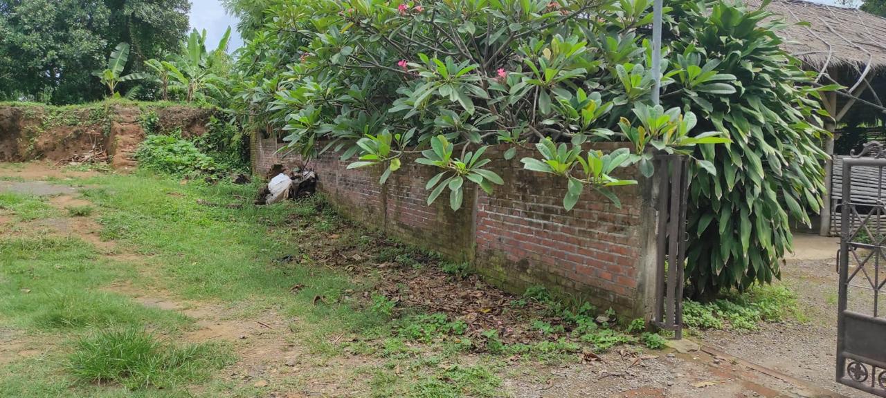 Lelang Rumah luas 18,35 are di Ringdikit, Seririt, Buleleng — foto 3
