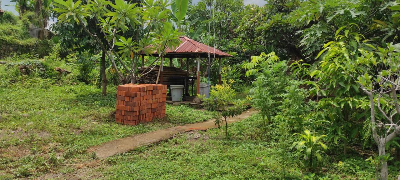 Lelang Rumah luas 18,35 are di Ringdikit, Seririt, Buleleng — foto 5