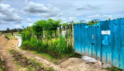 Lelang Rumah luas 21 are di Nyalian, Banjarangkan, Klungkung — foto 6