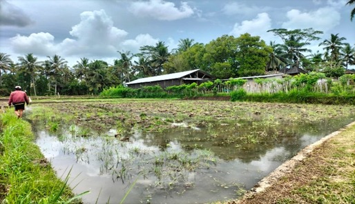 Lelang Rumah luas 21 are di Nyalian, Banjarangkan, Klungkung — foto 5