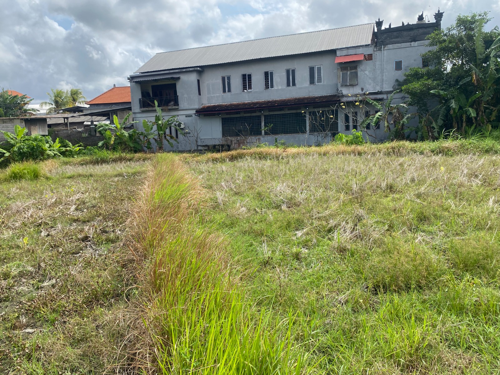 Lelang Tanah luas 44,7 are di Singapadu Tengah, Sukawati, Gianyar — foto 4