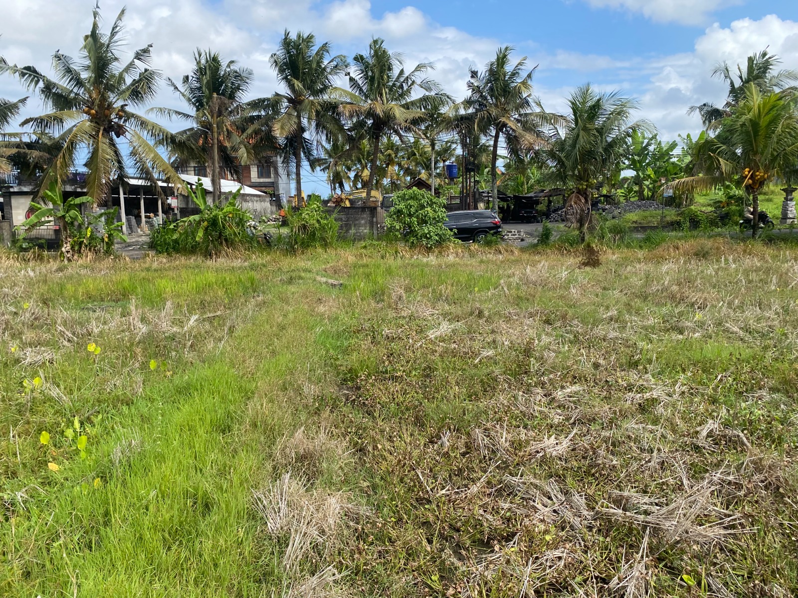 Lelang Tanah luas 44,7 are di Singapadu Tengah, Sukawati, Gianyar — foto 10