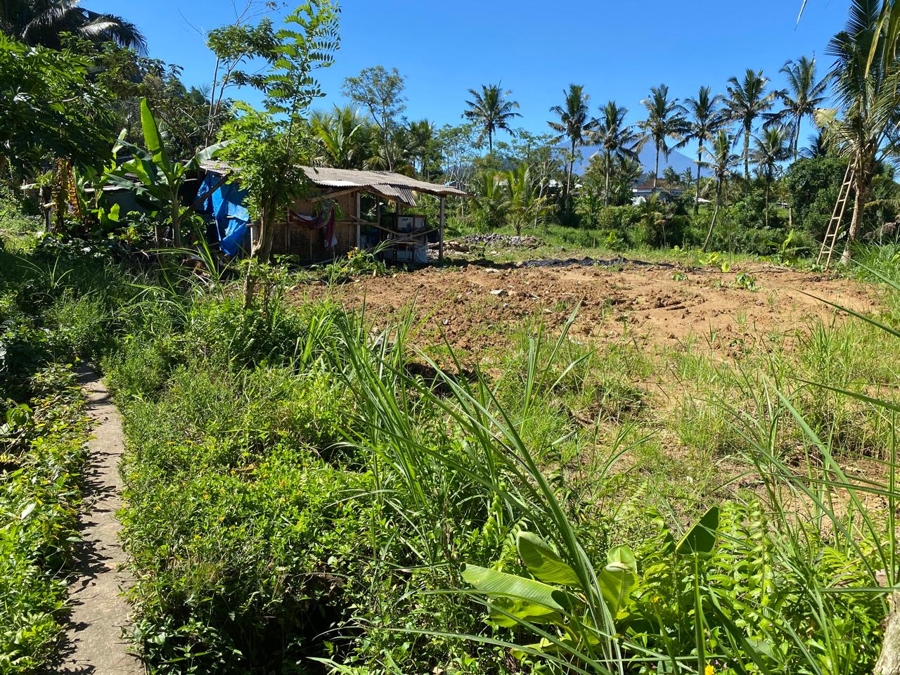 Lelang Rumah luas 14,2 are di Demulih, Susut, Bangli — foto 2