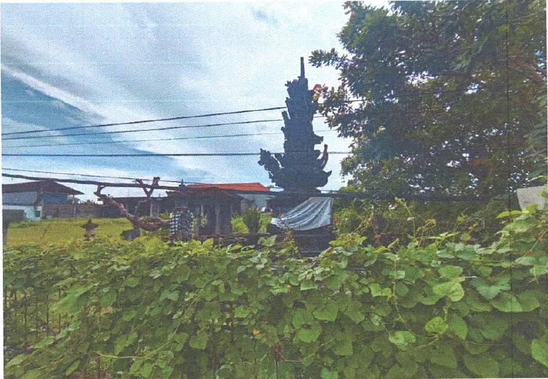 Lelang Tanah luas 3,76 are di Banyuasri, Buleleng, Buleleng — foto 4