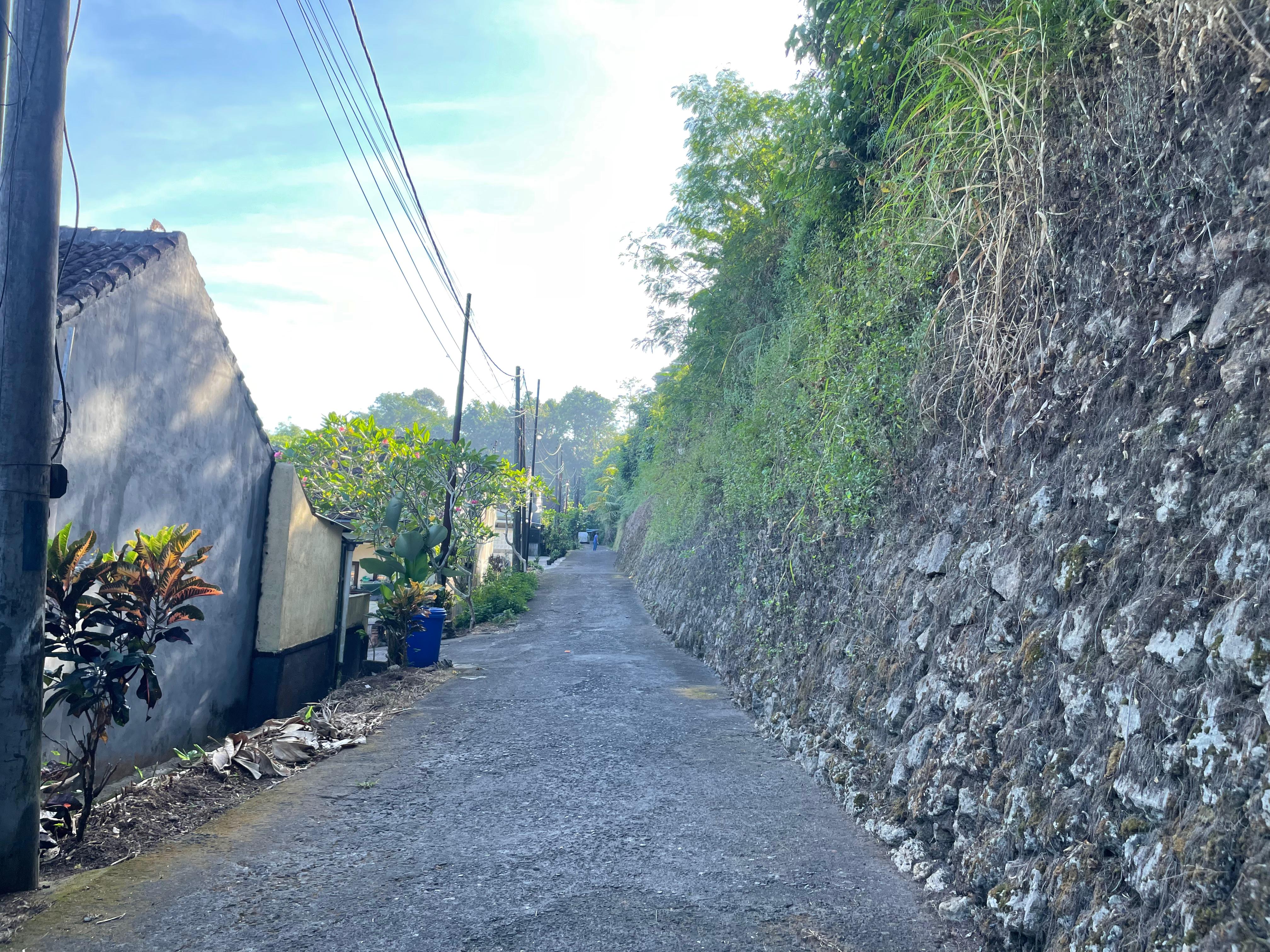 Lelang Rumah luas 0,8 are di Banjar Anyar, Kediri, Tabanan — foto 5