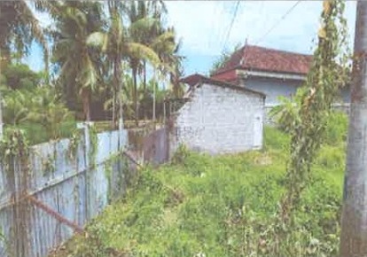 Lelang Tanah luas 36 are di Saba, Blahbatuh, Gianyar — foto 1