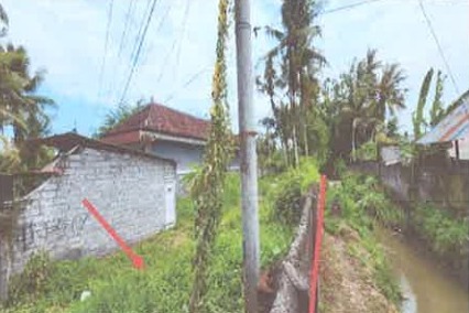Lelang Tanah luas 36 are di Saba, Blahbatuh, Gianyar — foto 2