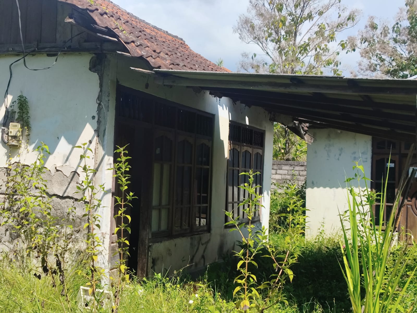 Lelang Rumah luas 2 are di Celukan Bawang, Gerokgak, Buleleng — foto 2