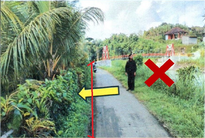 Lelang Tanah luas 4 are di Yehembang, Mendoyo, Jembrana — foto 4