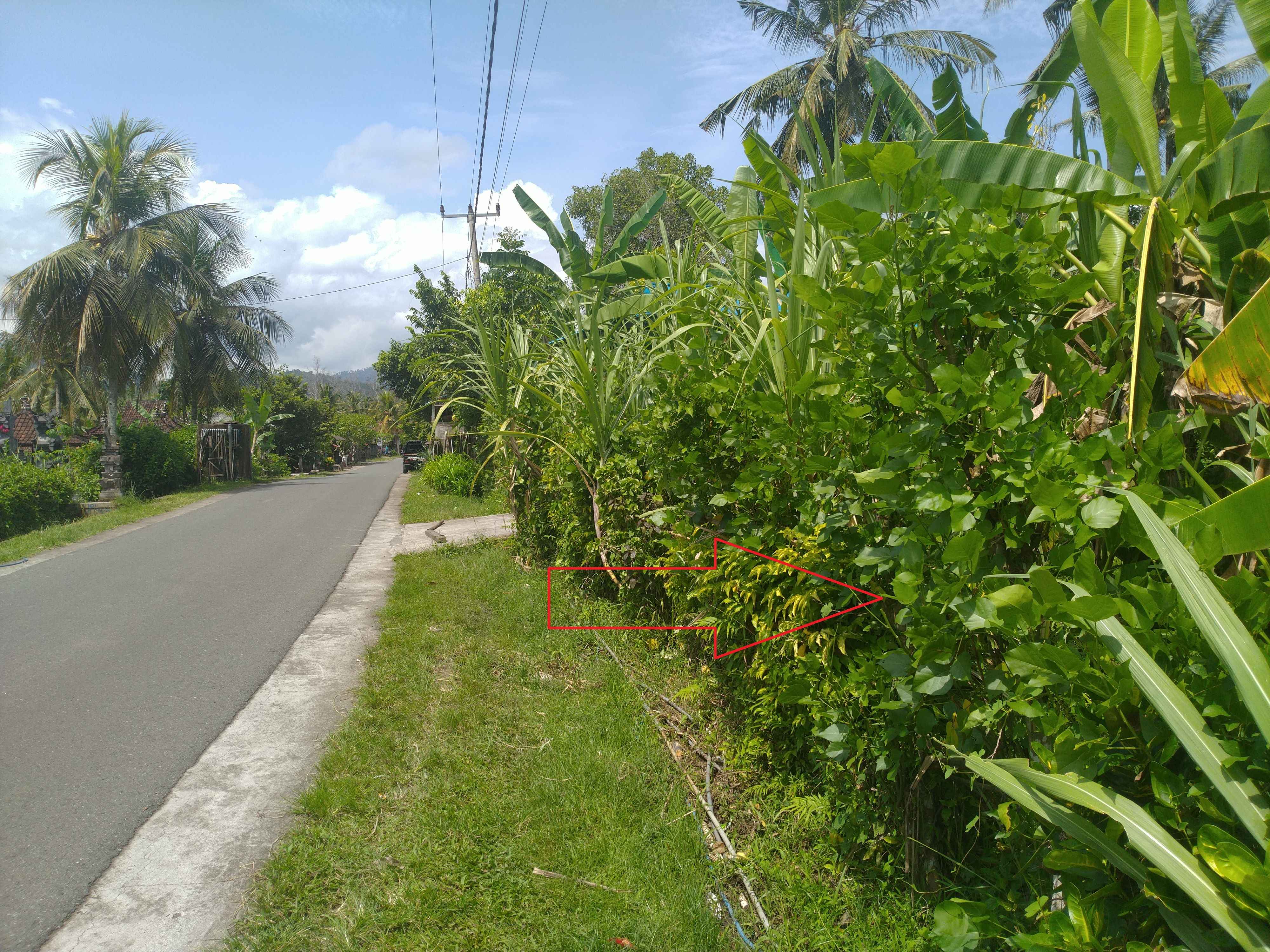Lelang Tanah luas 12 are di Pulukan, Pekutatan, Jembrana — foto 3