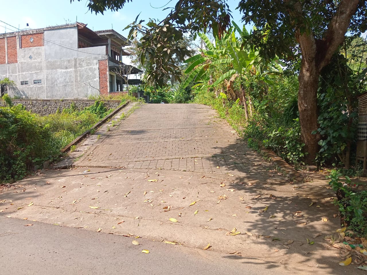 Lelang Rumah luas 2,15 are di Sukasada, Sukasada, Buleleng — foto 11