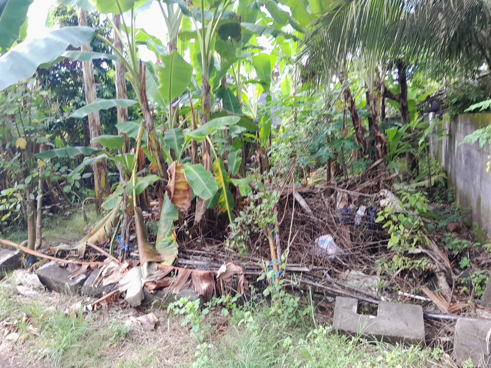 Lelang Tanah luas 1,25 are di Tumbu, Karangasem, Karangasem — foto 5